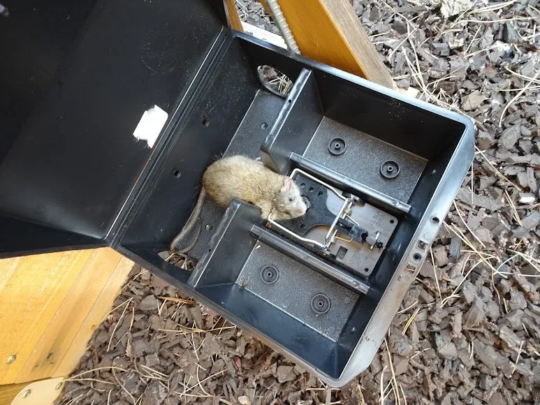Exterior station, opened. Snap mechanism inside a locked housing, away from pets and children.
